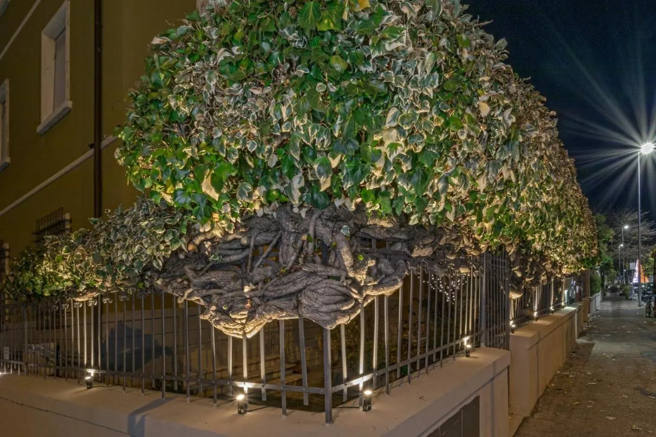 Bed and breakfast Casa Mirko - Bed&Breakfast Arezzo
